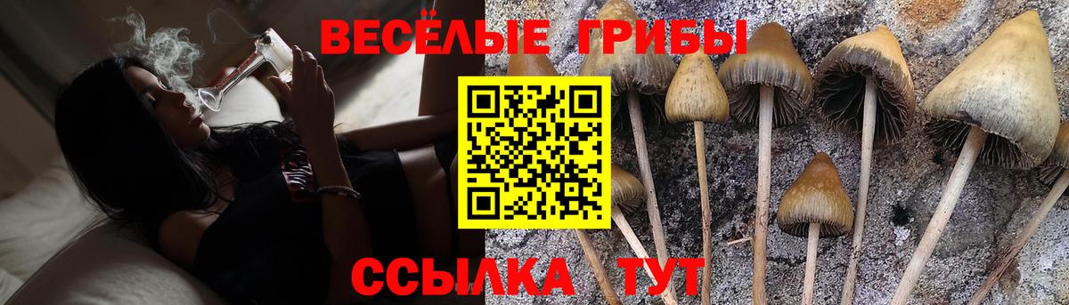 Галлюциногенные грибы Psilocybine cubensis  Вход с VPN  Касимов 